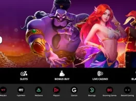 Insider Look: PlayAmo Casino Bonuses Revealed!