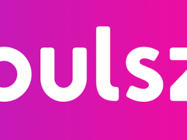 Pulsz Casino LOGO