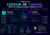 Codeium vs Tabnine: Which AI Coding Assistant Is Better in 17th May 2026? codeium-vs-tabnine