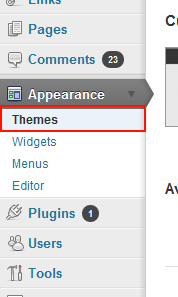 Wordpress Appearance Themes