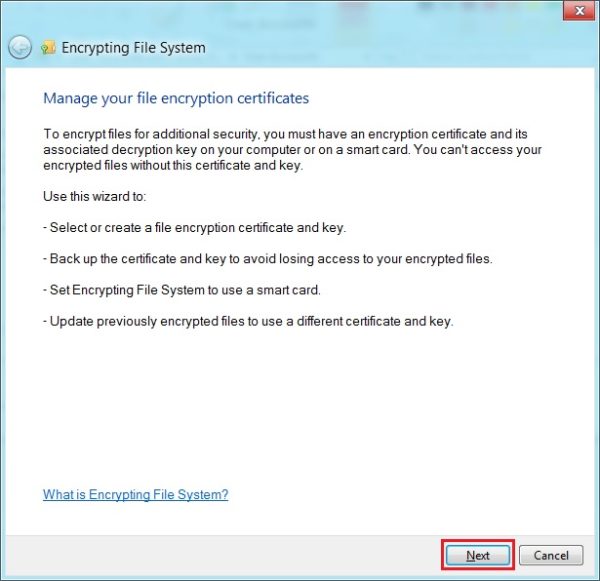 Create A File Encryption Certificate and Key For Windows 8